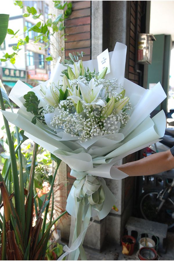經典百合(一) Just Lily
